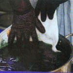 Teinture au pastel des teinturiers